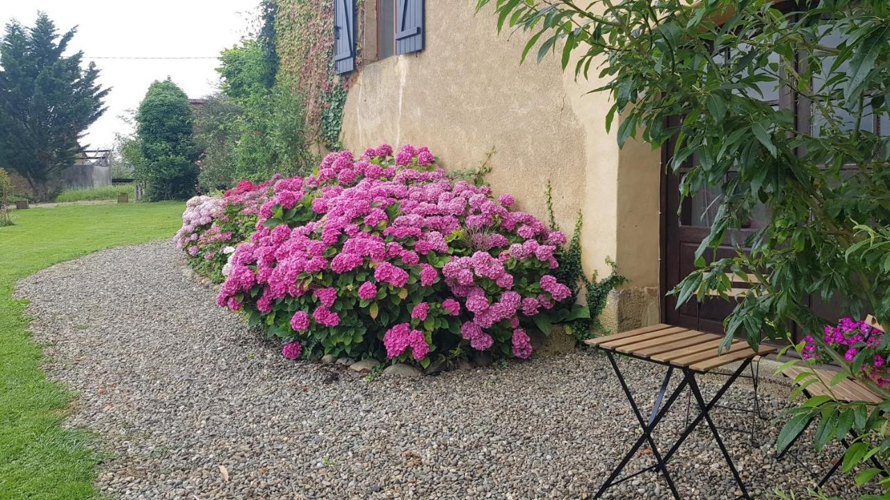 Cazaux-VillecomtalLe Peyroutet公寓 外观 照片